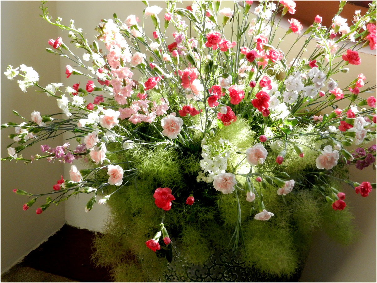 Léto květů 2016 v polském městě Otmuchow