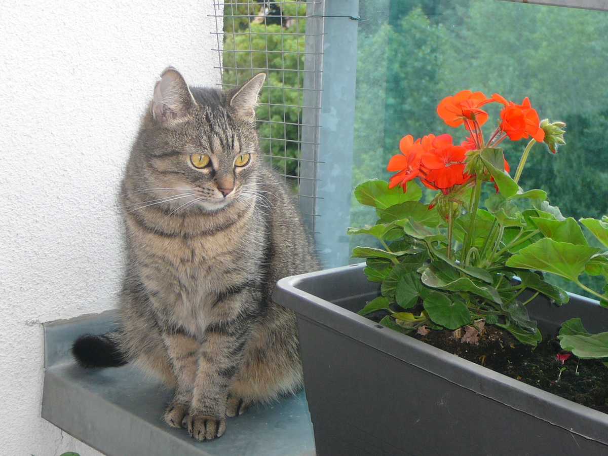 Něha váží tři a půl kila