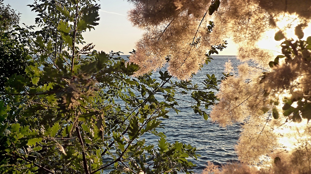 Istrie - malá chorvatská "Itálie"