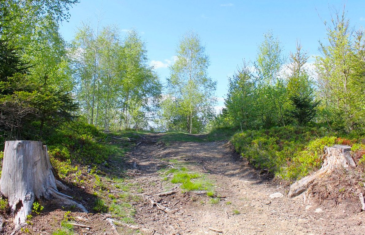 Na skok do Polska aneb Beskyde, Beskyde kdo po tobě ide?