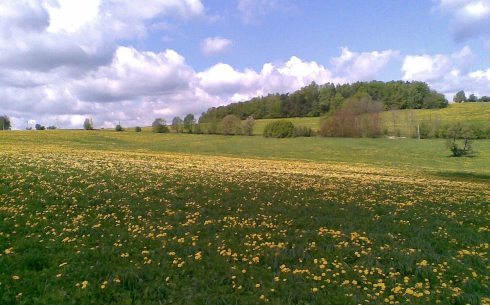 Nejen dostávat, taky dávat