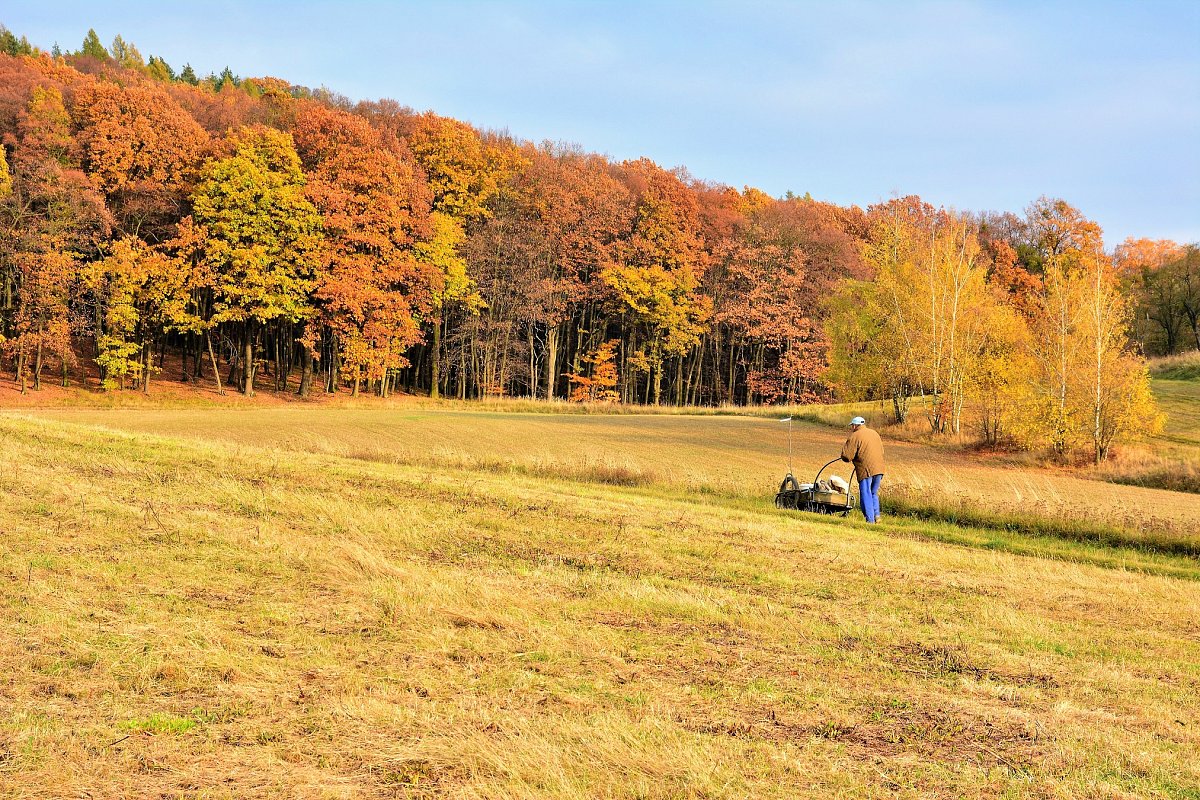 Podzimn° sadaż.jpg