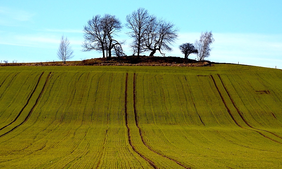 FOTO DNE 2.3.: Elena Valeriánová - Předjaří