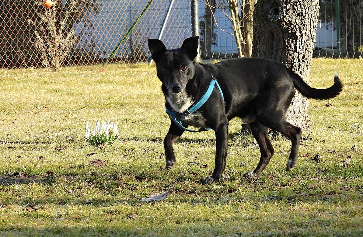 Jsem malý, ale šikovný