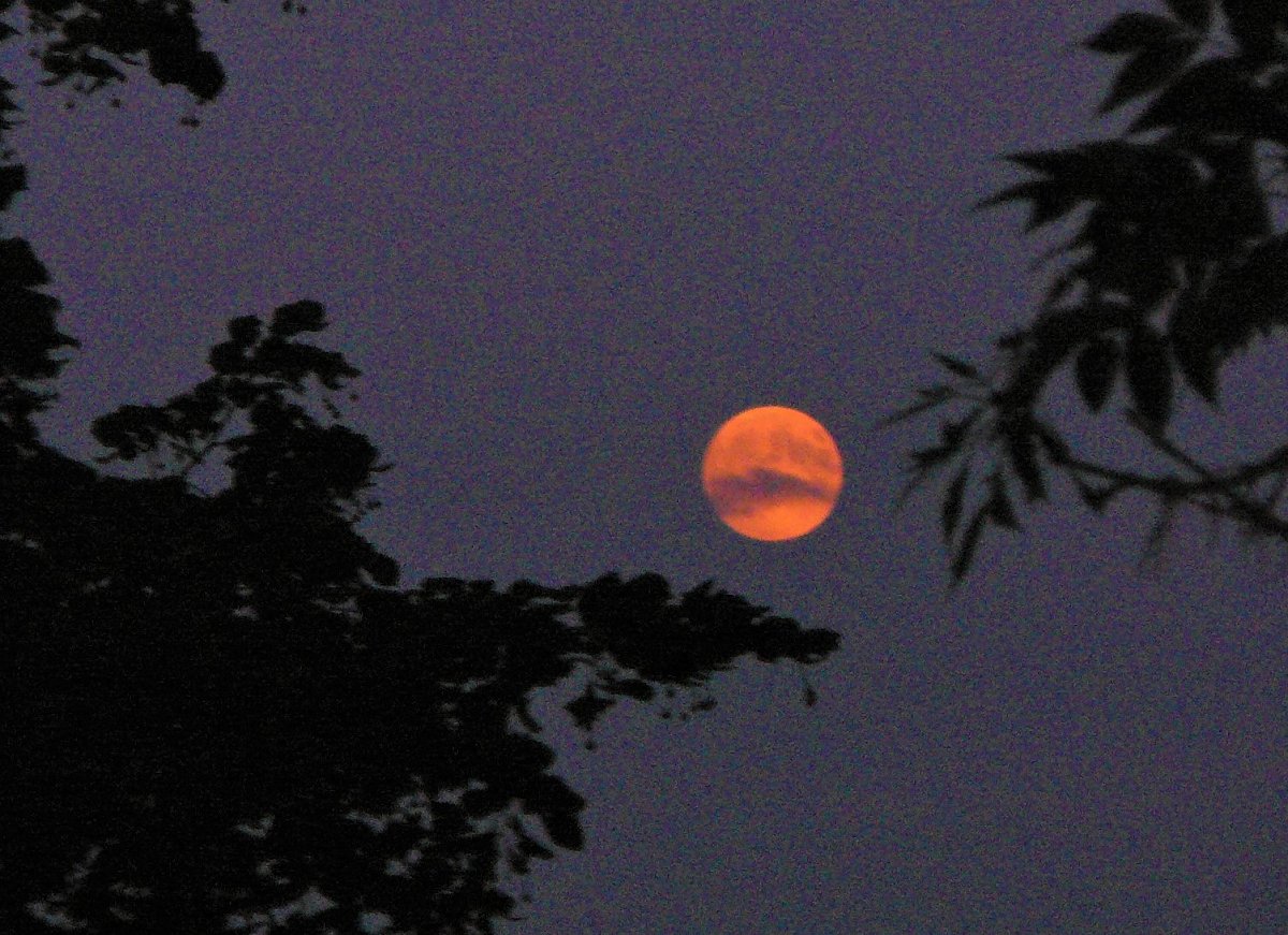 Něco pro rozptýlení II