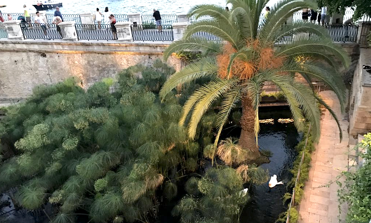 Snímek obrazovky 2023-07-28 v 12.03.14.png