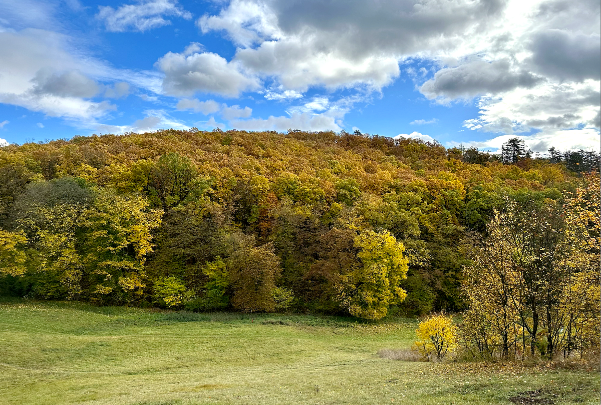 Snímek obrazovky 2023-10-28 v 14.27.07.png