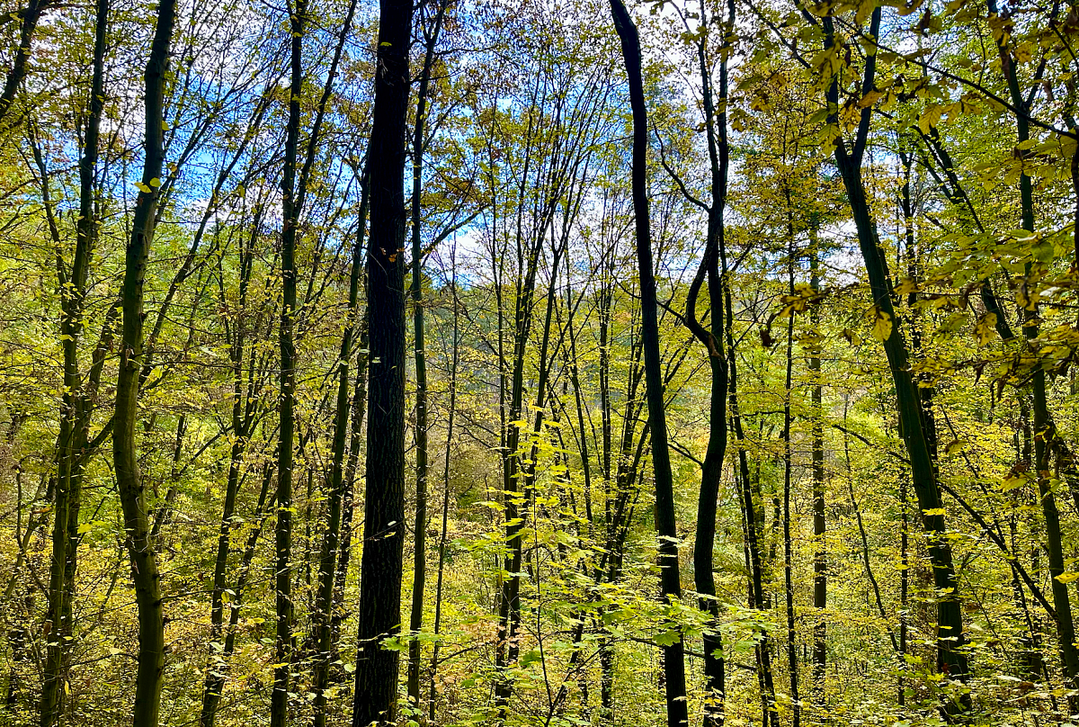 Snímek obrazovky 2023-10-28 v 14.28.07.png