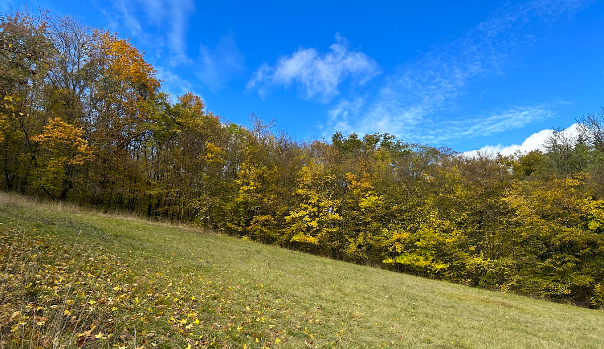 Snímek obrazovky 2023-10-28 v 14.29.42.png