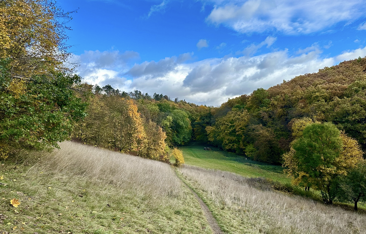 Snímek obrazovky 2023-10-28 v 14.29.58.png