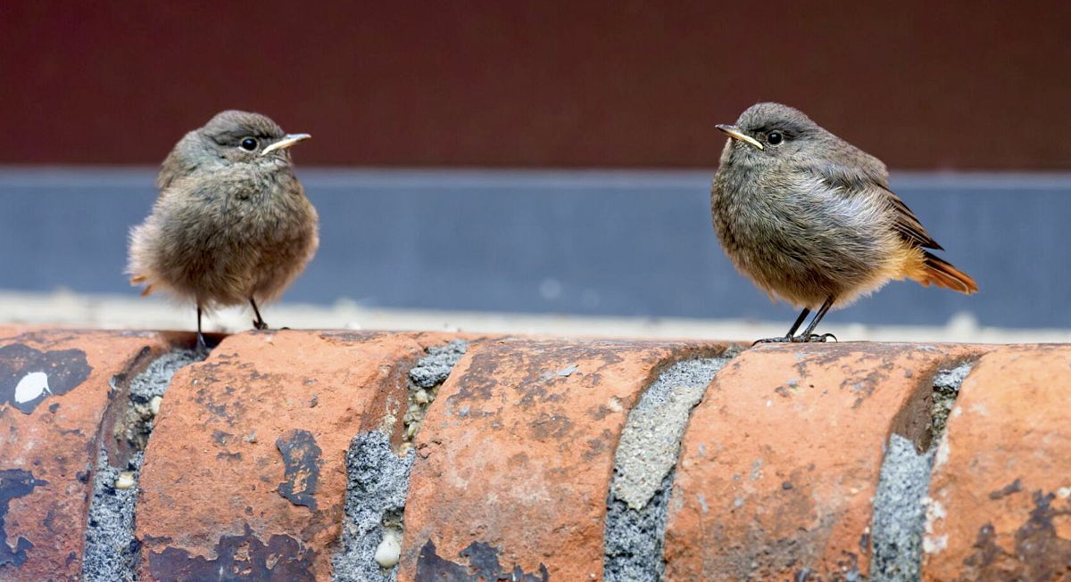 Snímek obrazovky 2023-12-05 v 14.50.56.png