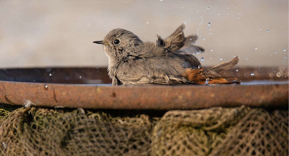 Snímek obrazovky 2023-12-05 v 14.54.41.png