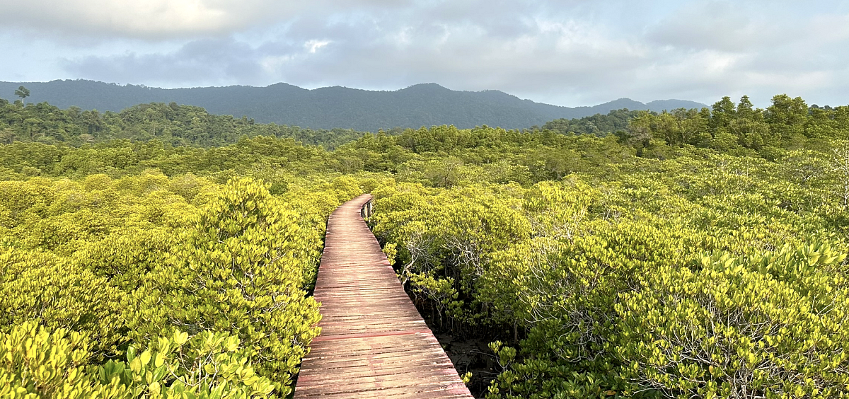 Snímek obrazovky 2024-02-16 v 9.27.57.png