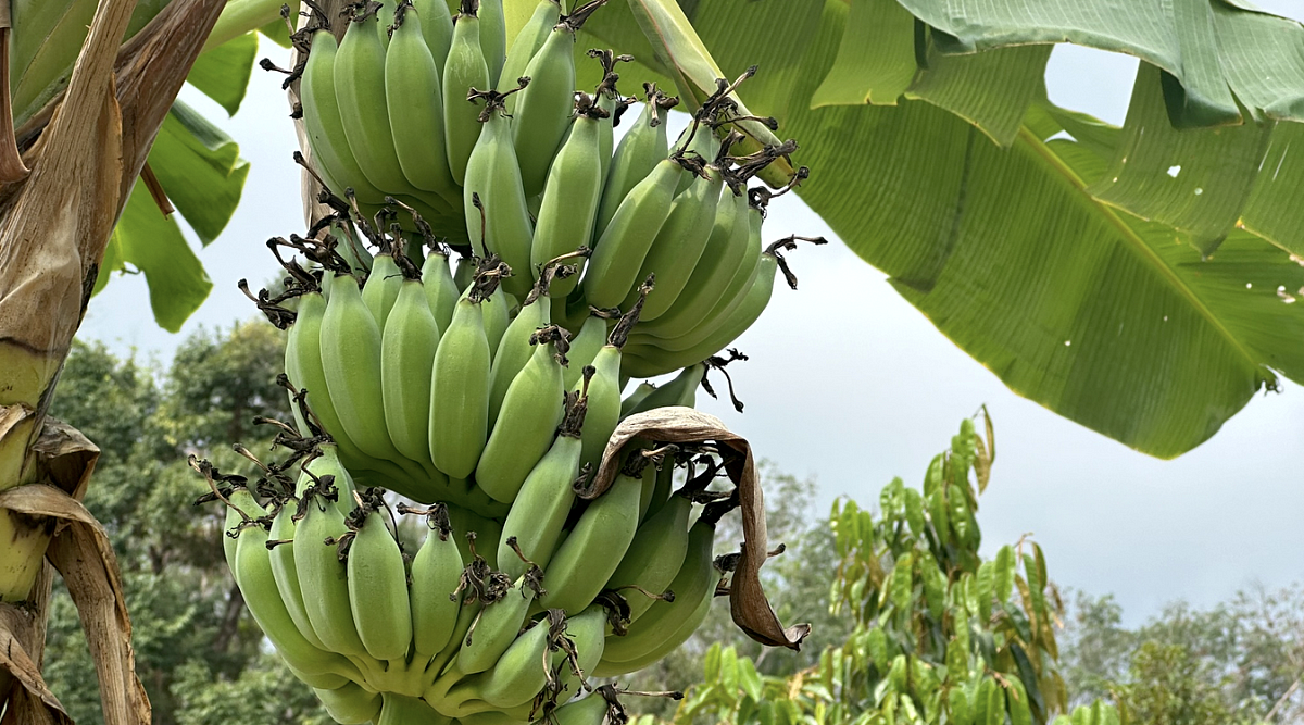 Snímek obrazovky 2024-02-16 v 9.29.36.png