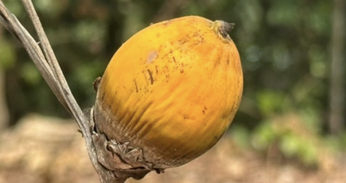 Snímek obrazovky 2024-02-16 v 9.29.41.png