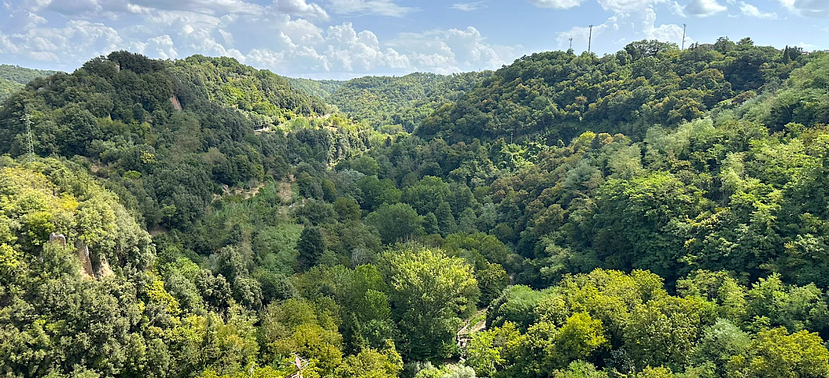 Snímek obrazovky 2024-08-17 v 20.50.06.png