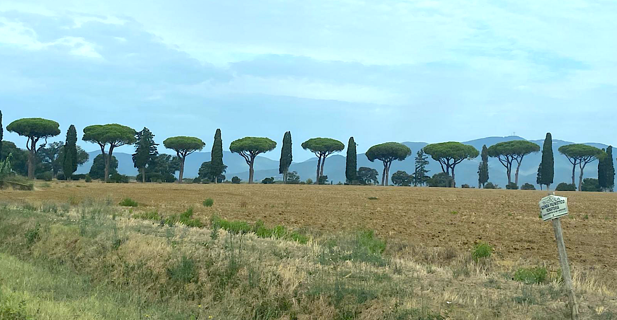 Snímek obrazovky 2024-08-17 v 9.05.12.png