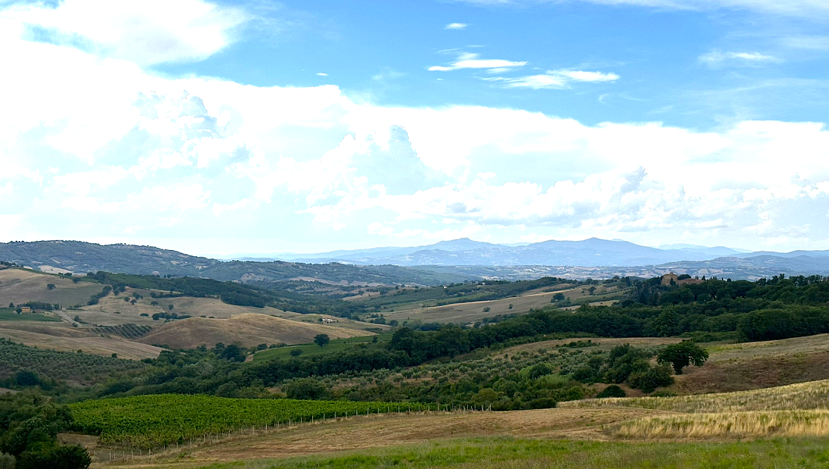 Snímek obrazovky 2024-08-28 v 17.17.53.png