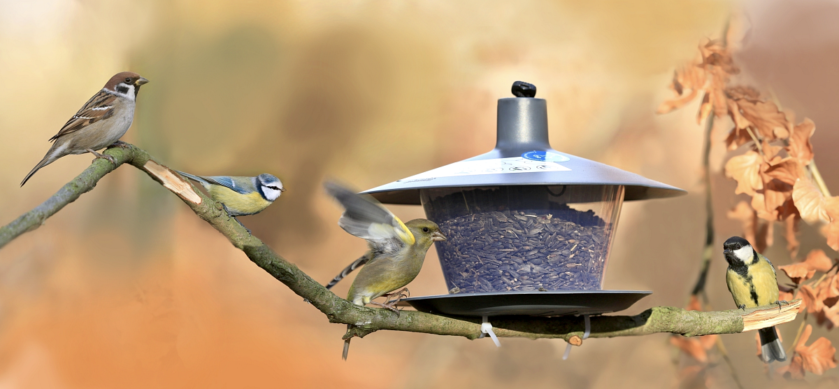 Snímek obrazovky 2024-12-27 v&nbsp;15.09.41.png