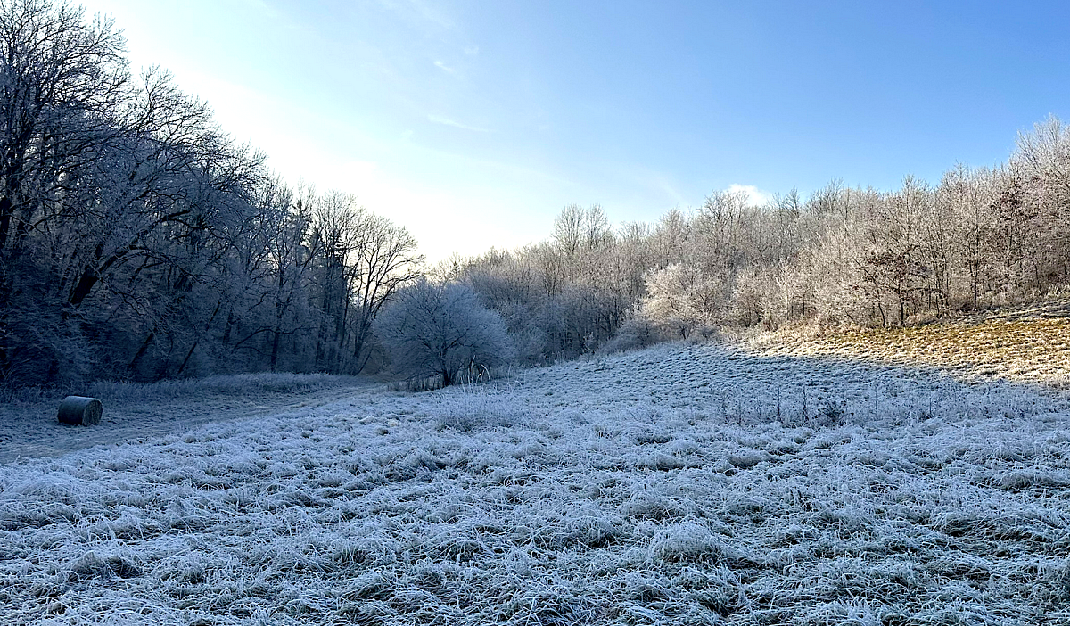 Snímek obrazovky 2024-12-29 v&nbsp;16.59.11.png