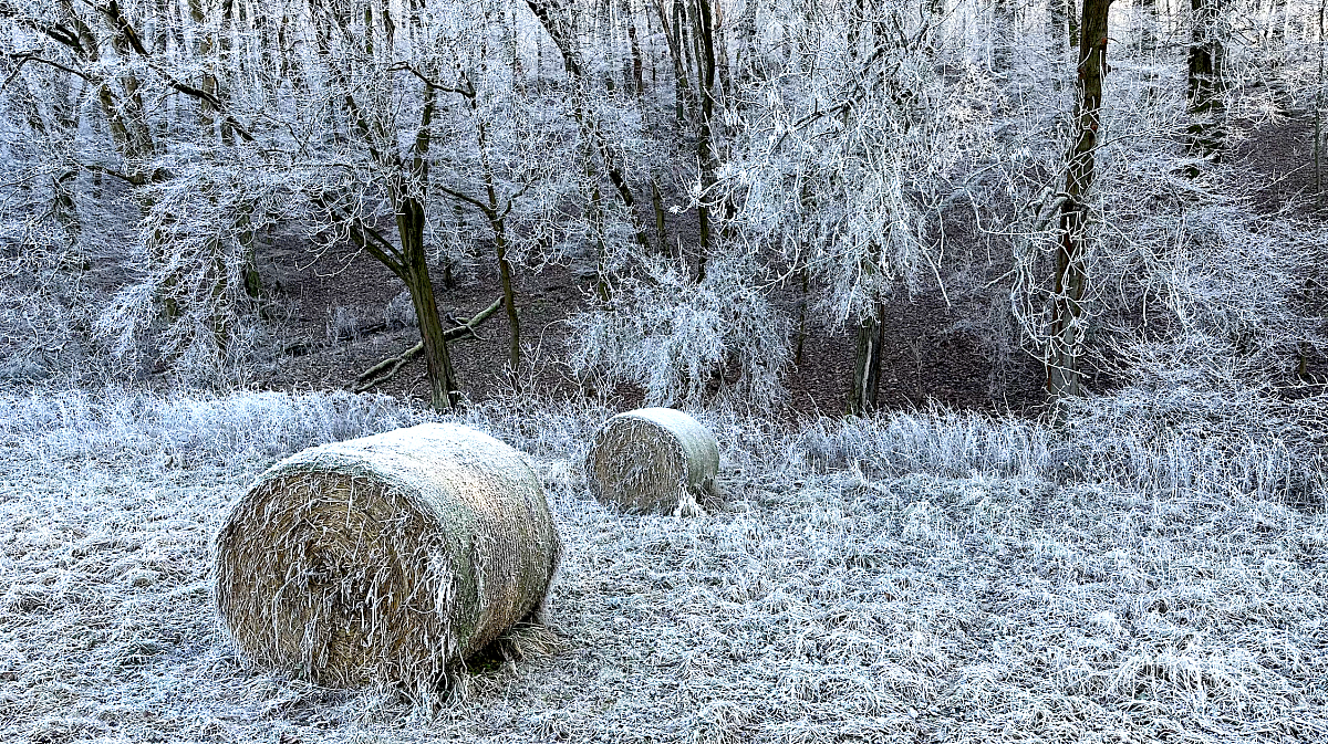 Snímek obrazovky 2024-12-29 v&nbsp;17.01.23.png