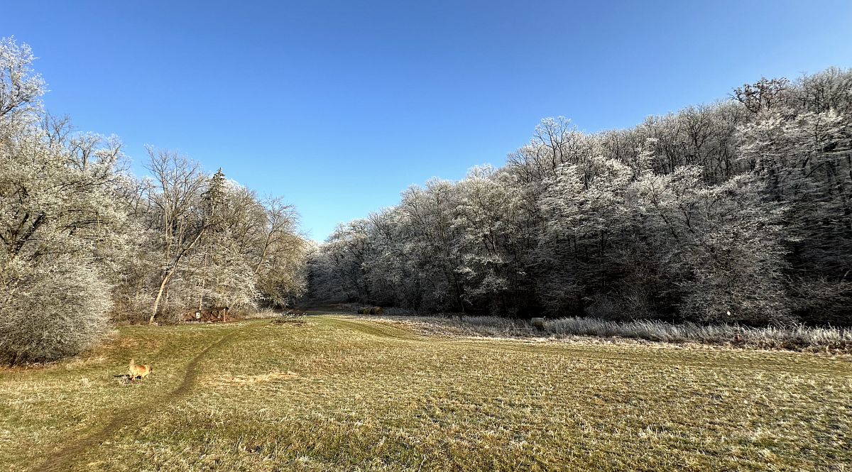 Snímek obrazovky 2024-12-29 v&nbsp;17.15.56.png