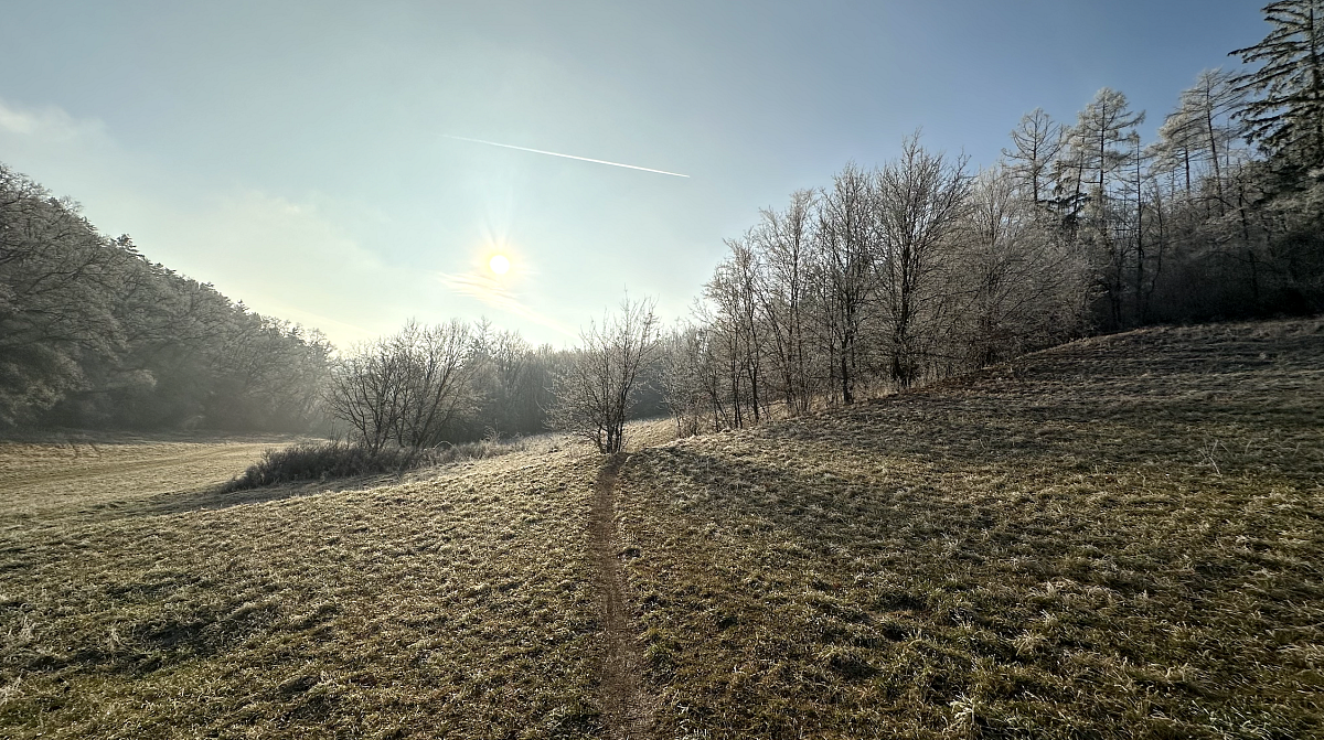 Snímek obrazovky 2024-12-29 v&nbsp;17.17.39.png