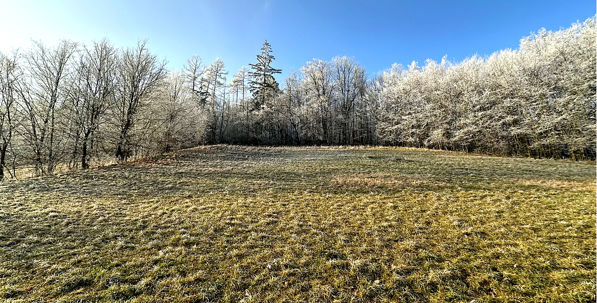 Snímek obrazovky 2024-12-29 v&nbsp;19.10.18.png