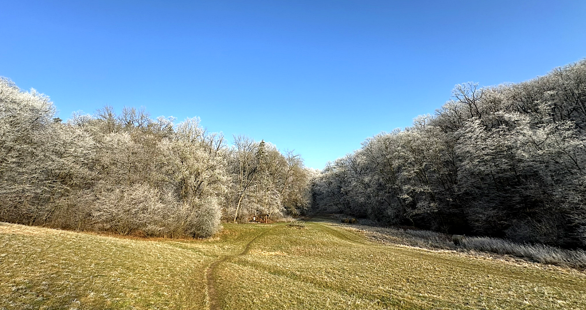 Snímek obrazovky 2024-12-29 v&nbsp;19.10.31.png