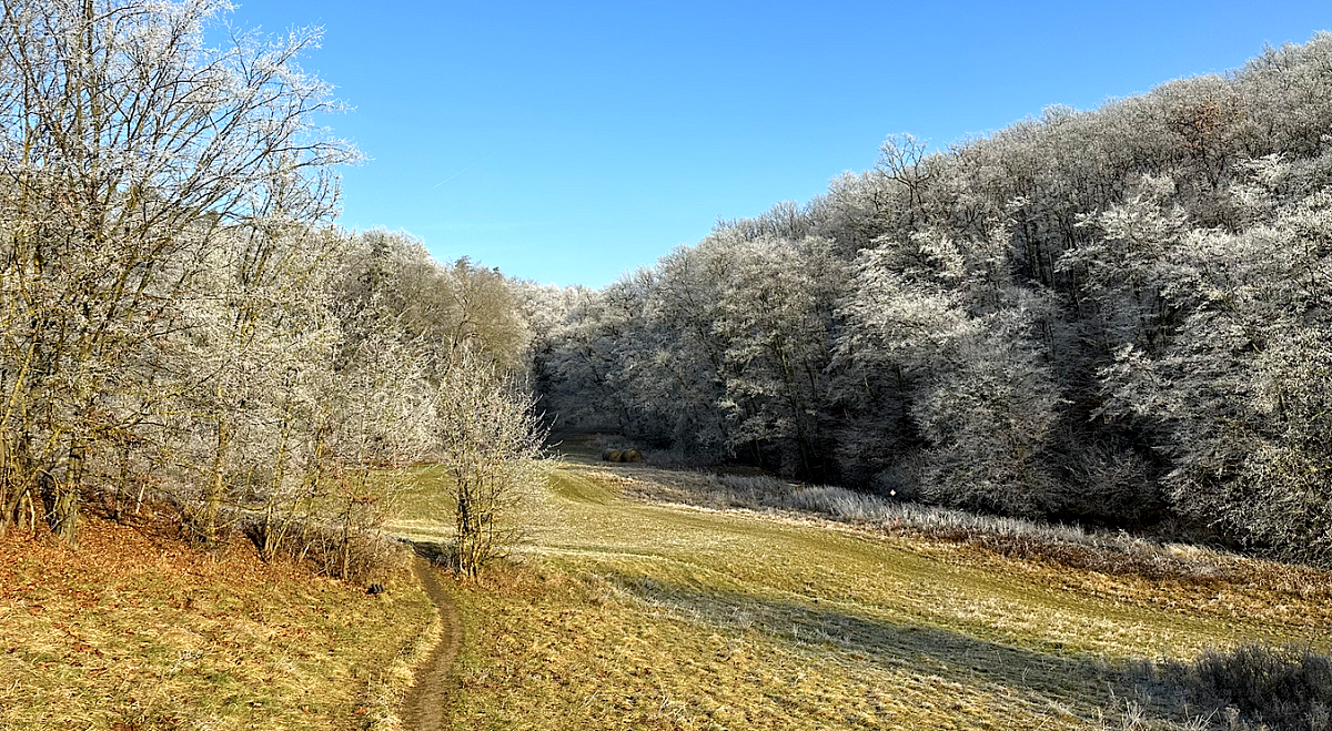 Snímek obrazovky 2024-12-29 v&nbsp;19.10.39.png