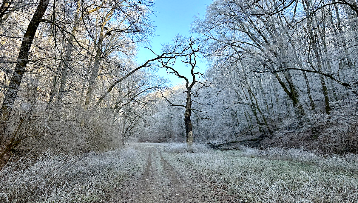 Snímek obrazovky 2024-12-29 v&nbsp;19.11.12.png