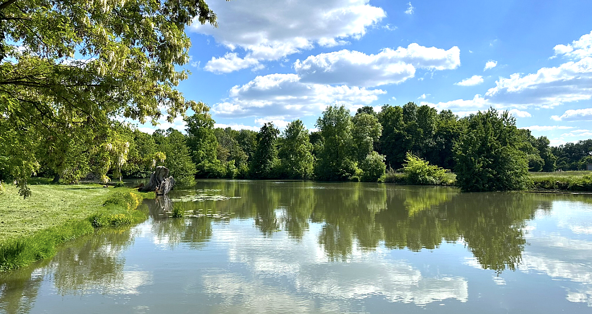 Snímek obrazovky 2025-05-15 v 12.31.38.png