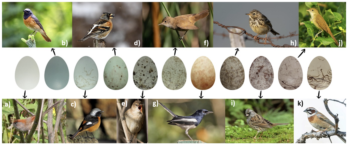 Snímek obrazovky 2025-11-04 v&nbsp;10.43.16.png