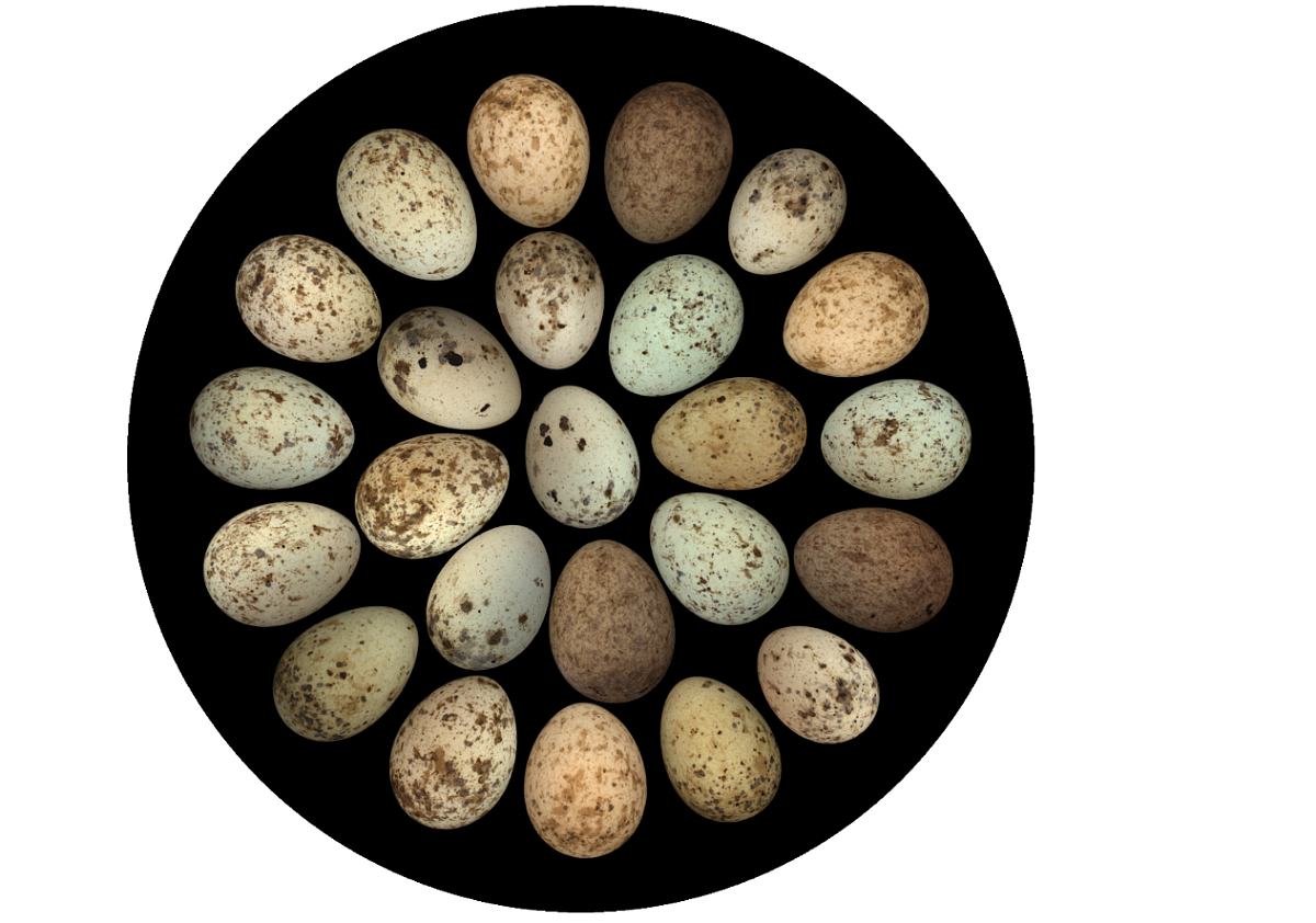 Snímek obrazovky 2025-11-04 v&nbsp;10.45.11.png