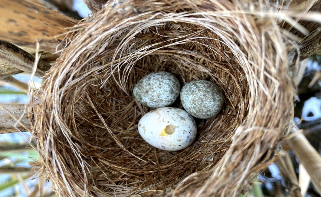 Snímek obrazovky 2025-11-04 v&nbsp;9.42.34.png