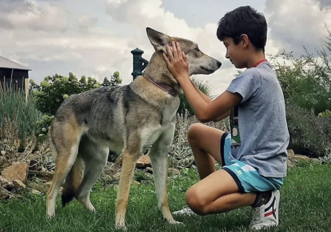 Snímek obrazovky 2026-03-12 v&nbsp;19.43.29.png