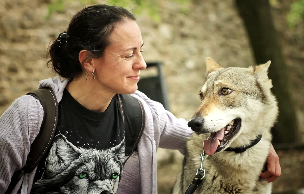 Snímek obrazovky 2026-03-12 v&nbsp;19.43.43.png