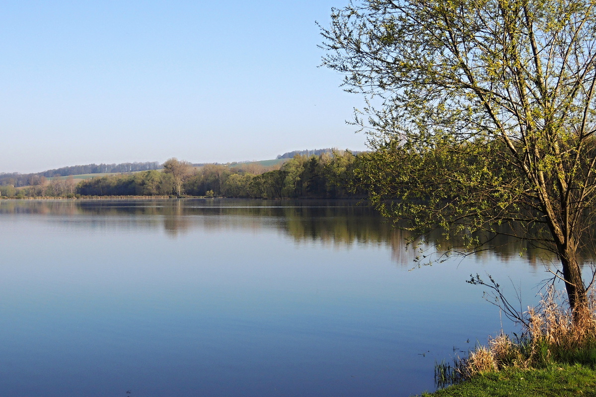 Fotopříběh: Jarní probouzení přírody