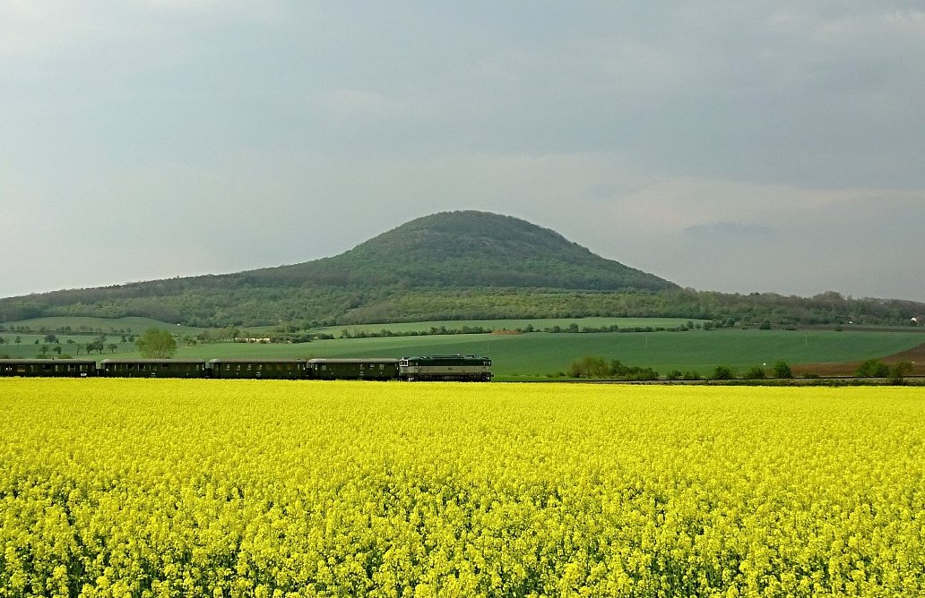 Za všechno může praotec