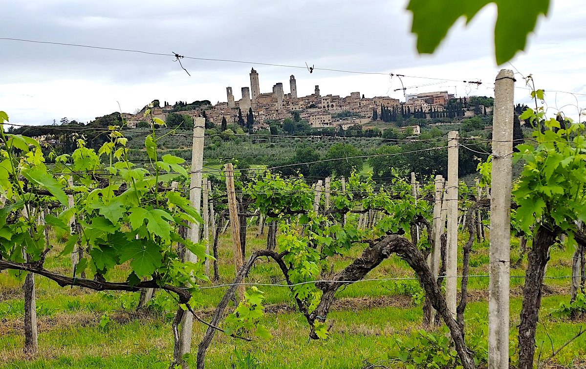 Všechny cesty vedou do… (1)