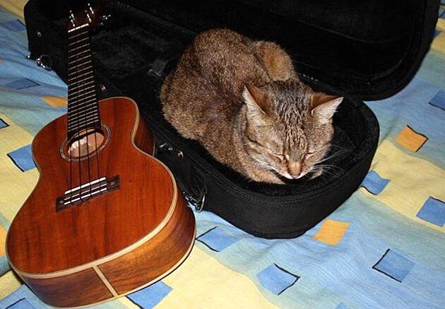 Událost, která otřásla Havají