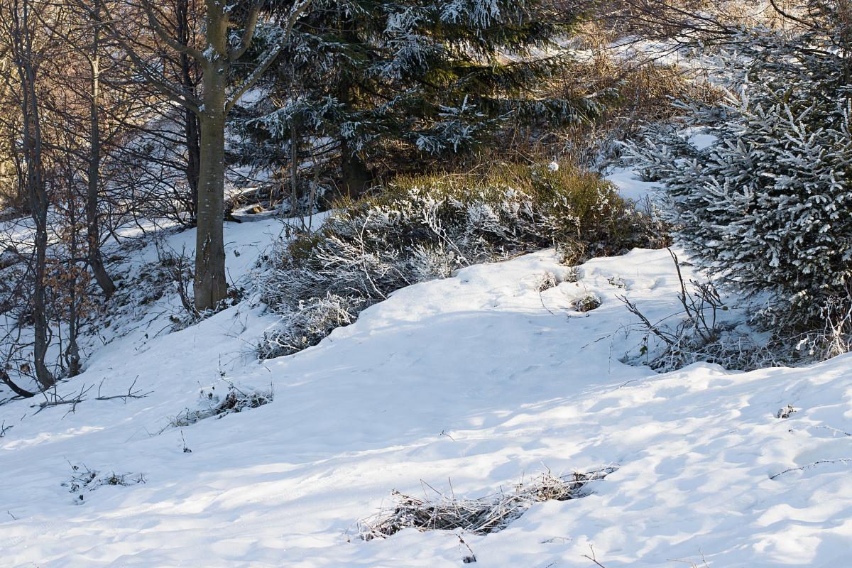 Fotoreportáž: Zima