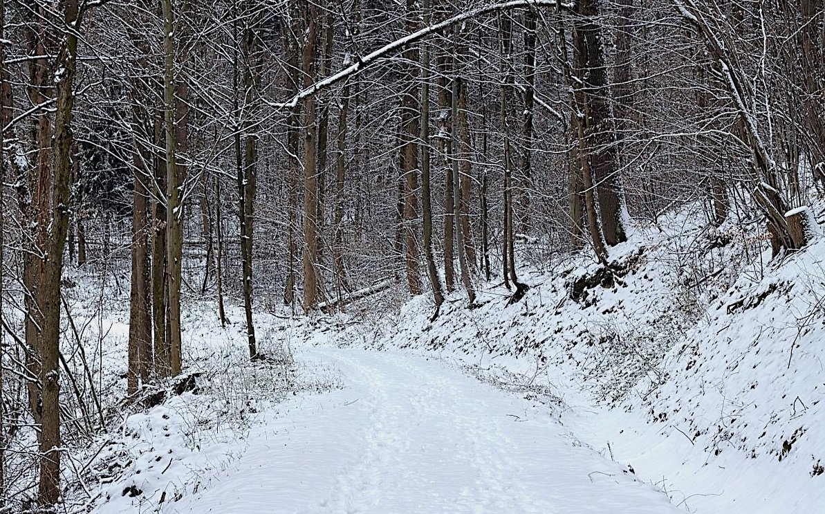 Fotoreportáž: Konečně zima