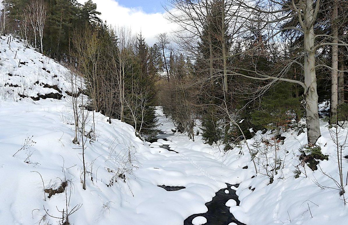 Fotoreportáž: Leden - první ohlednutí