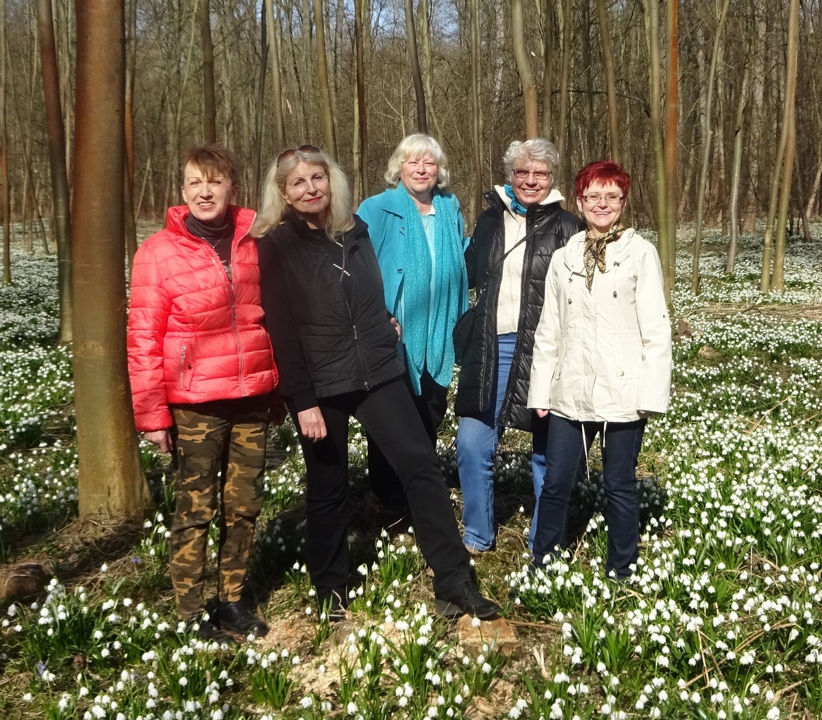 Výprava i60 do Dobříně za sněženkami