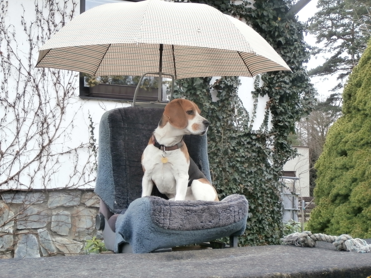 Naše soutěže pokračují...