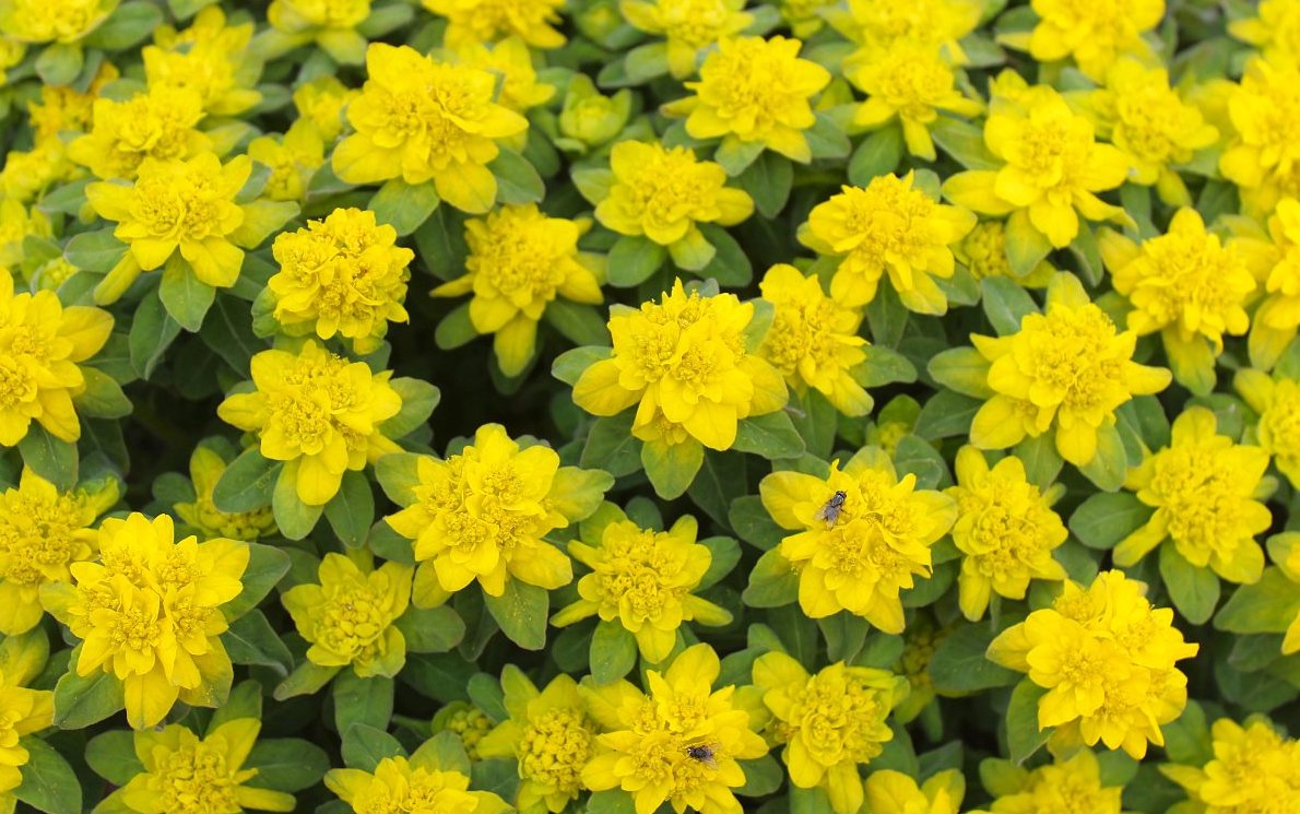 Když tě duben vyvede aprílem, aneb důvěřuj, ale prověřuj