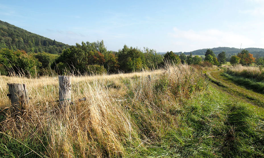 Kamenice slovem i obrazem