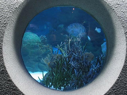 Jako akvárium: nirvána,
nebe, nebo snad peklo?