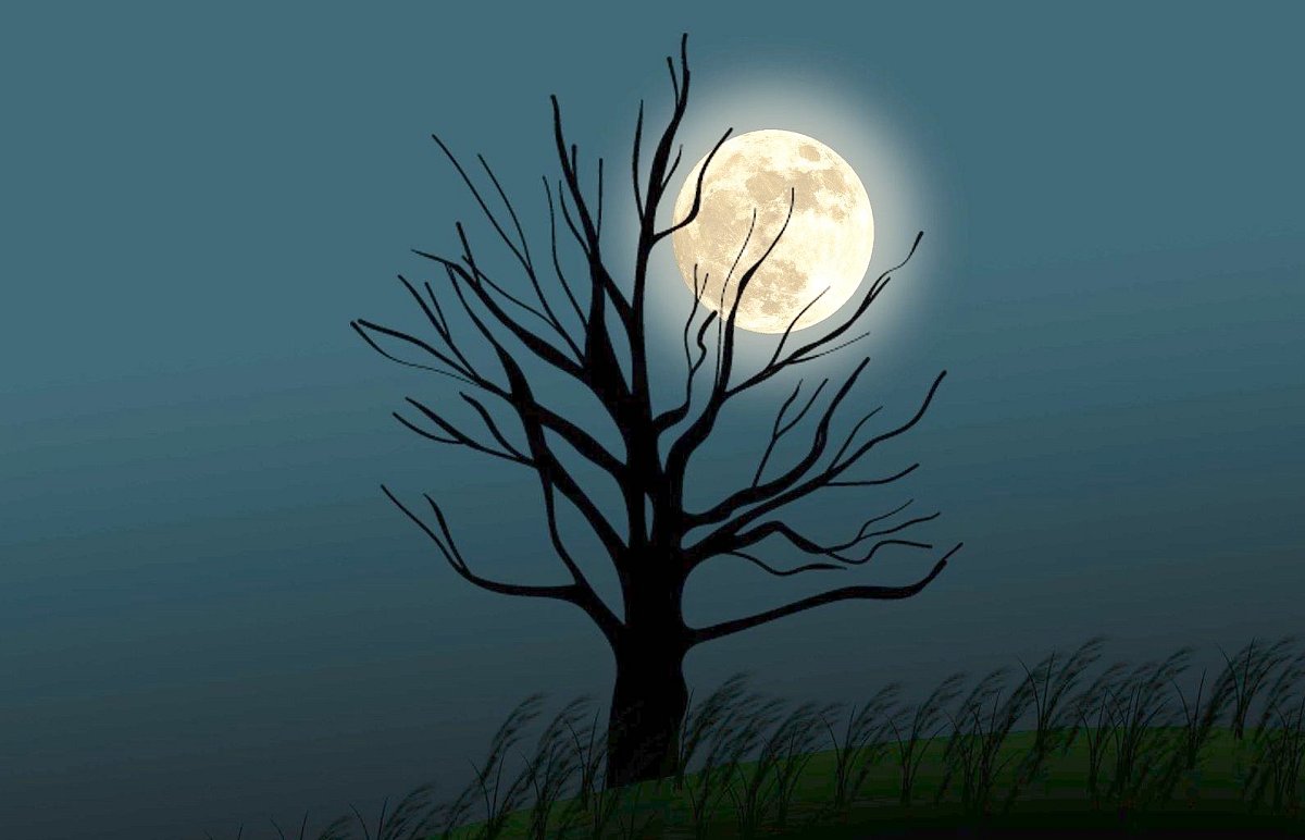 Chceme žít věčně